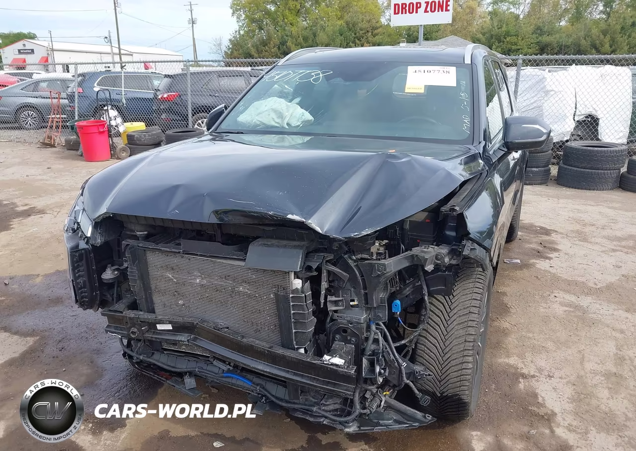2024 Hyundai Palisade Calligraphy VIN:KM8R7DGE7RU691458 - 6