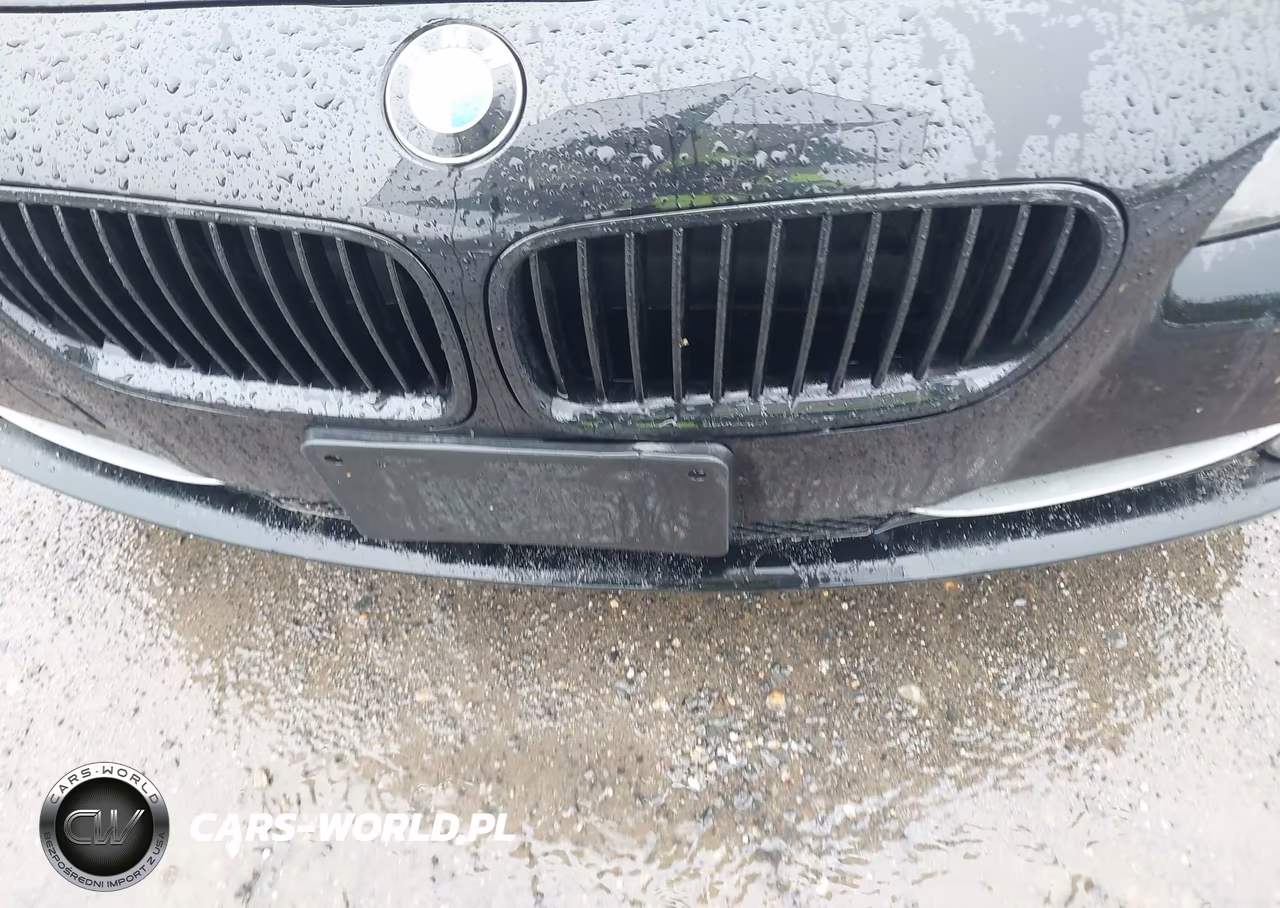 2013 BMW 528I xDrive VIN:WBAXH5C57DDW15457 - 6
