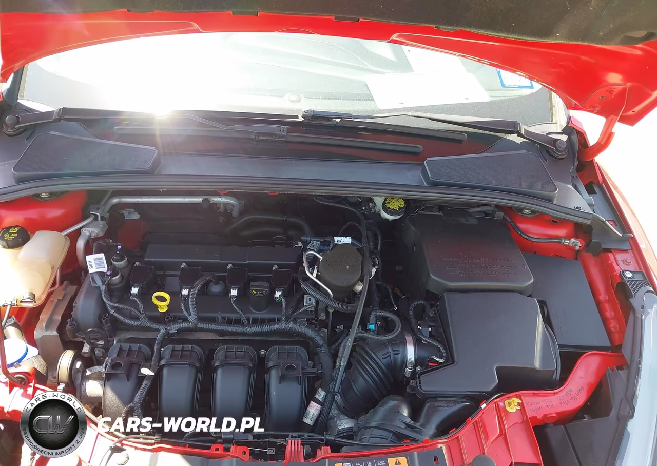 2015 Ford Focus Se VIN:1FADP3F23FL283238 - 10