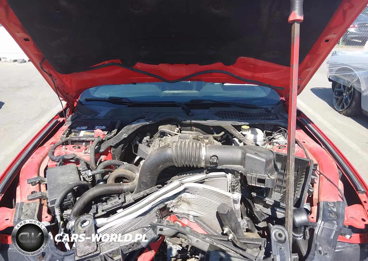 2019 Ford Mustang Ecoboost Premium VIN:1FATP8UH9K5153365 - 10