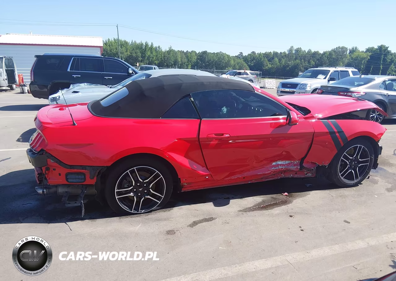 2019 Ford Mustang Ecoboost Premium VIN:1FATP8UH9K5153365 - 13