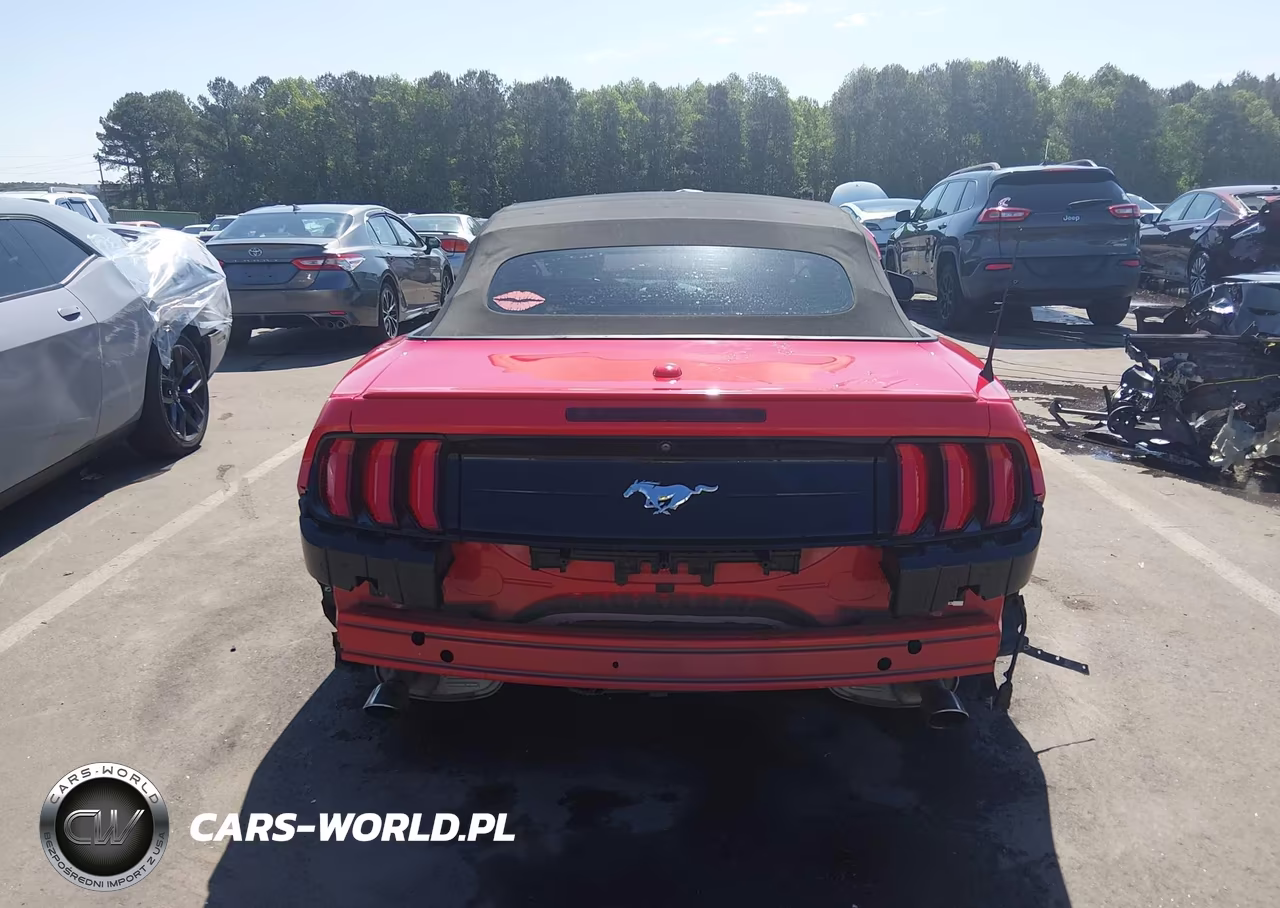 2019 Ford Mustang Ecoboost Premium VIN:1FATP8UH9K5153365 - 16