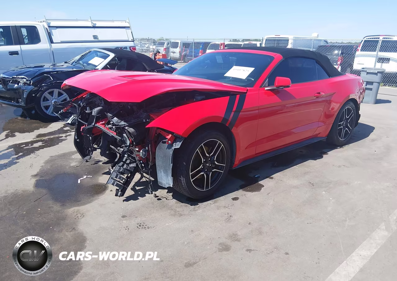 2019 Ford Mustang Ecoboost Premium VIN:1FATP8UH9K5153365 - 2