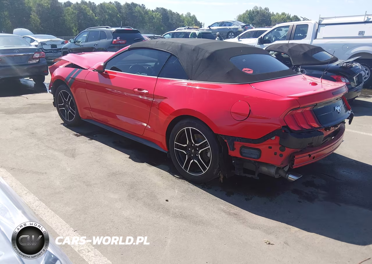 2019 Ford Mustang Ecoboost Premium VIN:1FATP8UH9K5153365 - 3