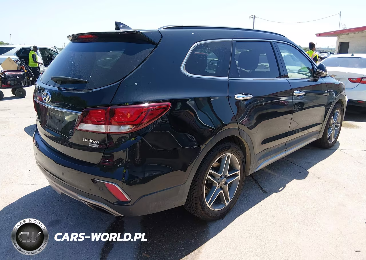 2017 Hyundai Santa Fe Limited Ultimate VIN:KM8SR4HF7HU175523 - 4