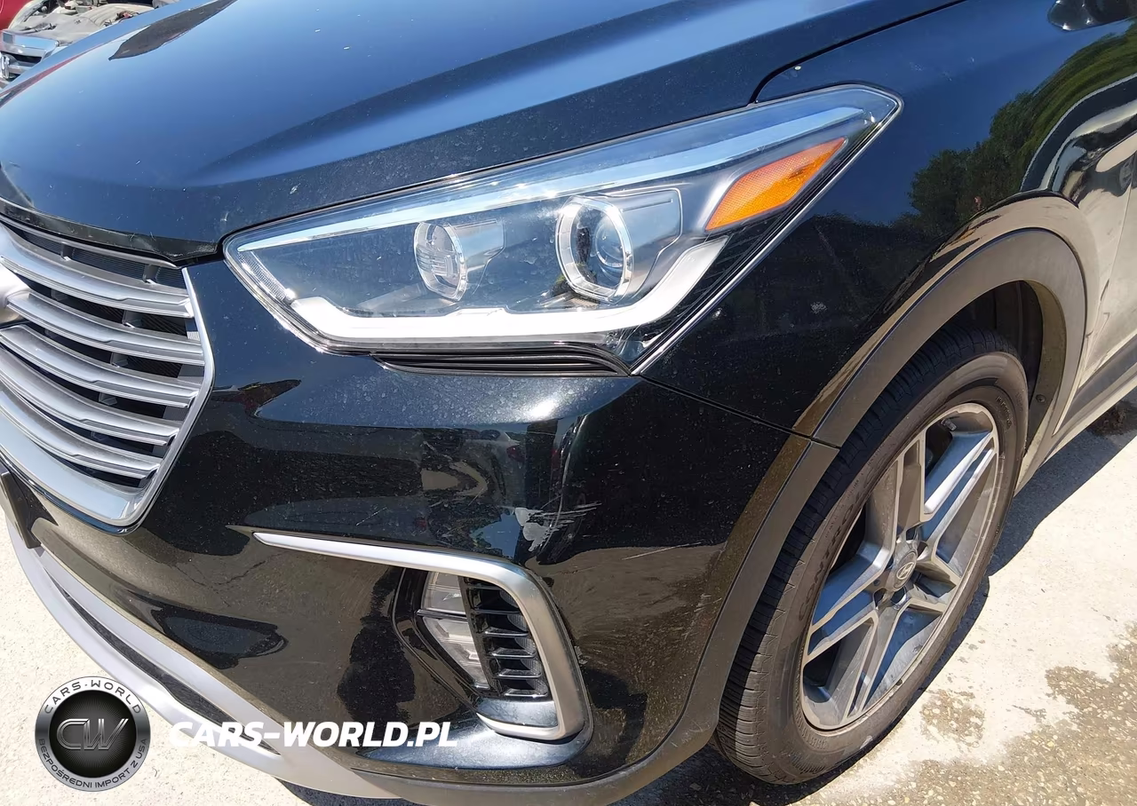 2017 Hyundai Santa Fe Limited Ultimate VIN:KM8SR4HF7HU175523 - 6