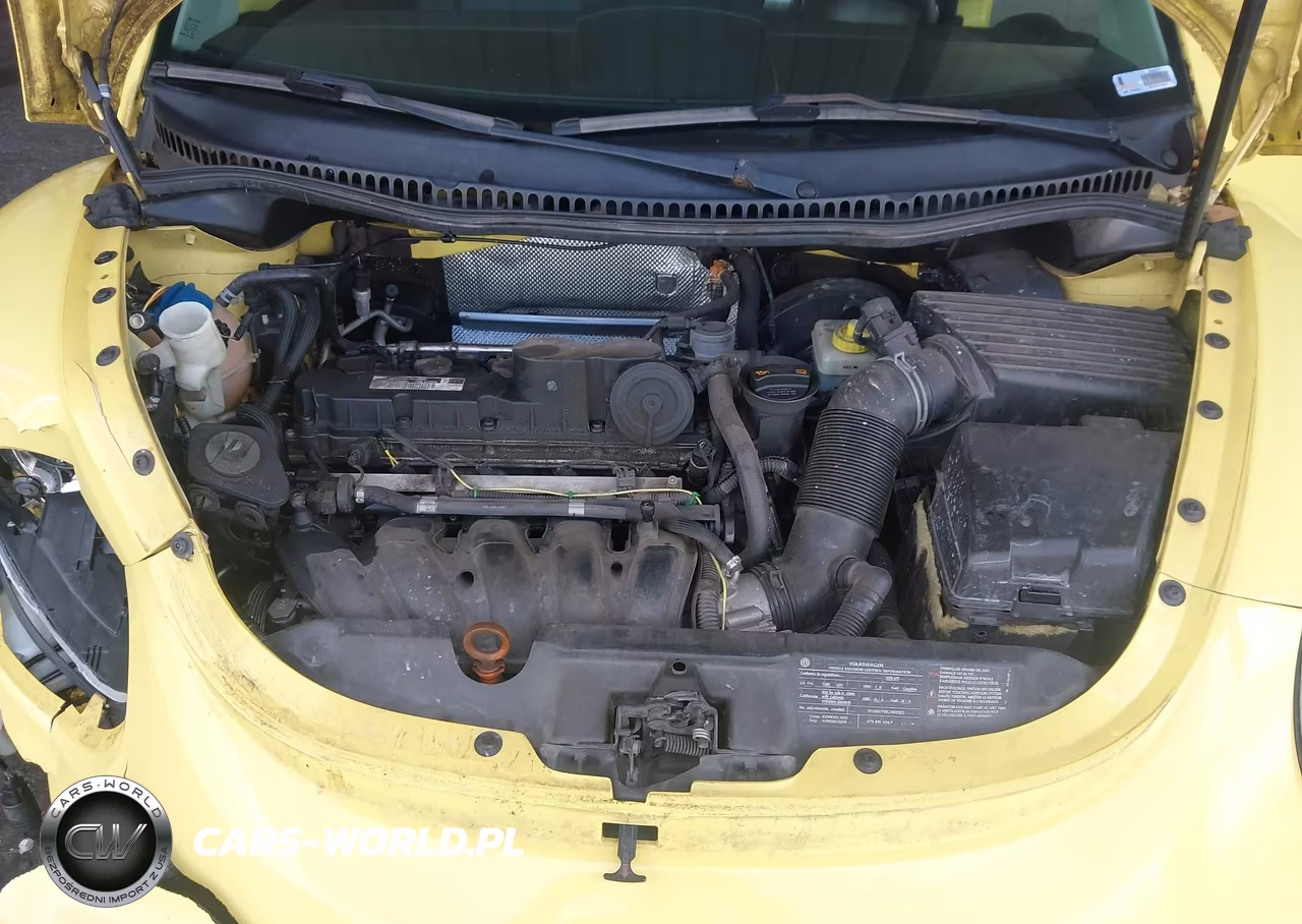 2010 Volkswagen New Beetle 2.5L Final Edition VIN:3VWPW3AGXAM008418 - 10