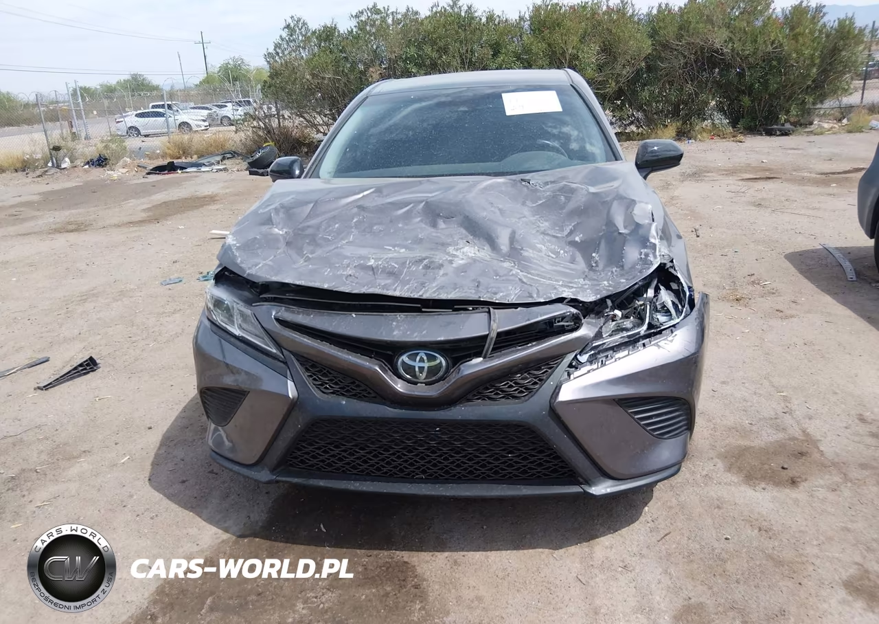 2020 Toyota Camry Se VIN:4T1G11AK6LU973894 - 12