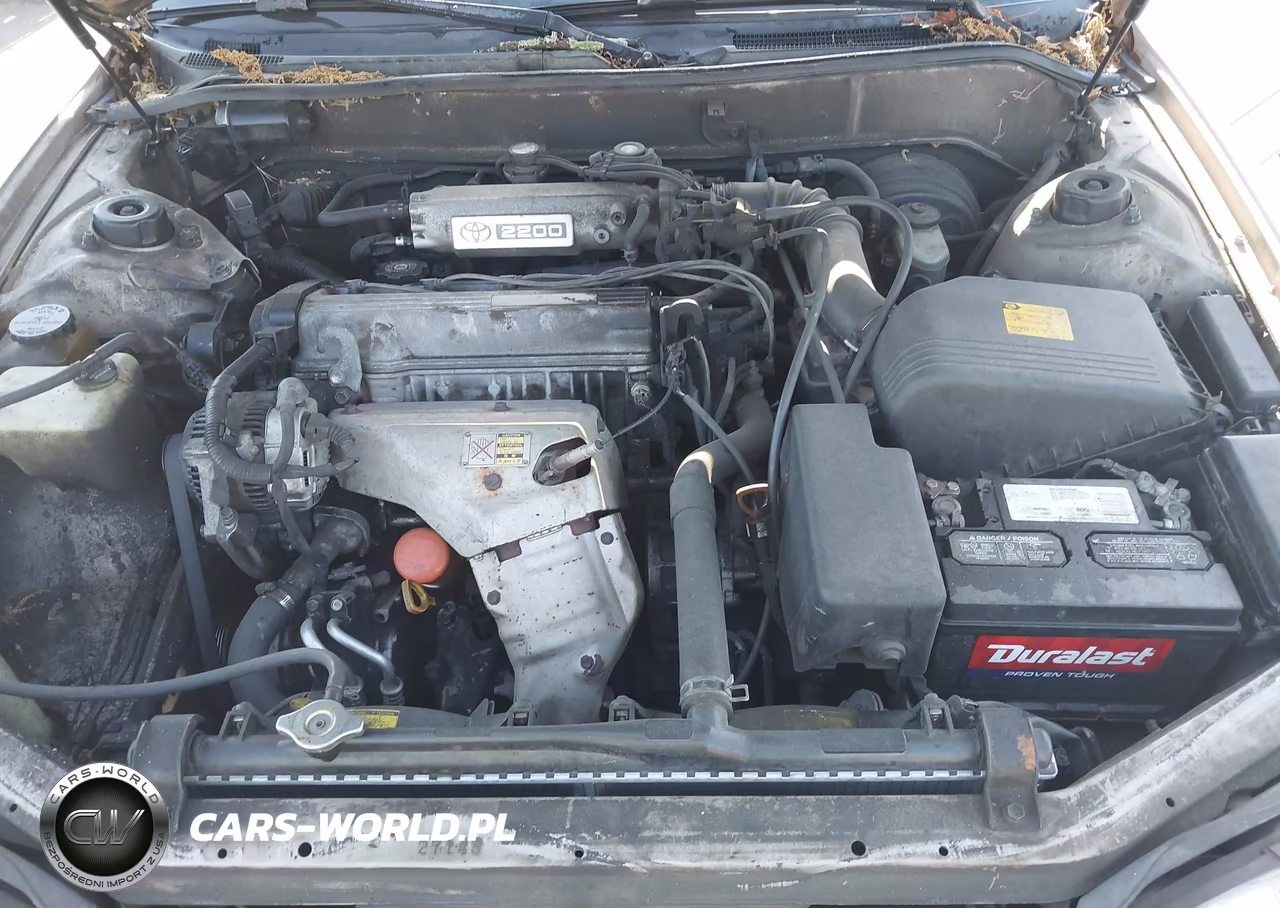 1994 Toyota Camry Xle VIN:4T1SK13E5RU388246 - 10