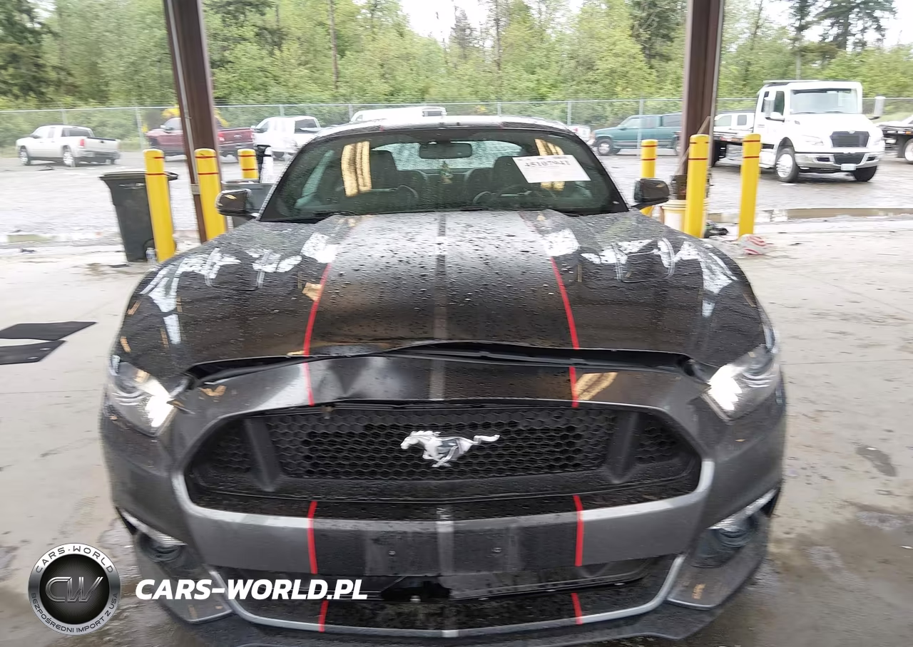 2016 Ford Mustang Gt Premium VIN:1FA6P8CF7G5323789 - 12