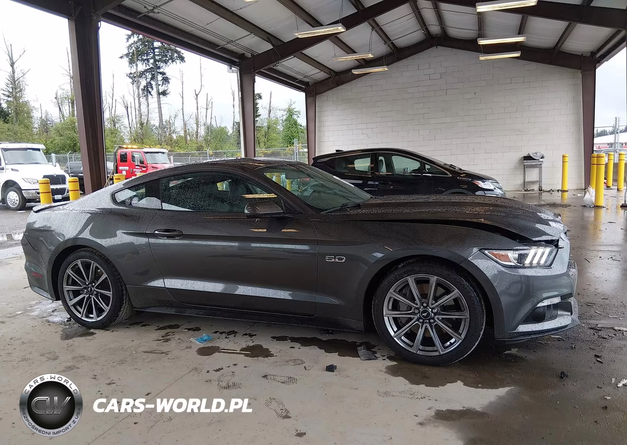 2016 Ford Mustang Gt Premium VIN:1FA6P8CF7G5323789 - 13