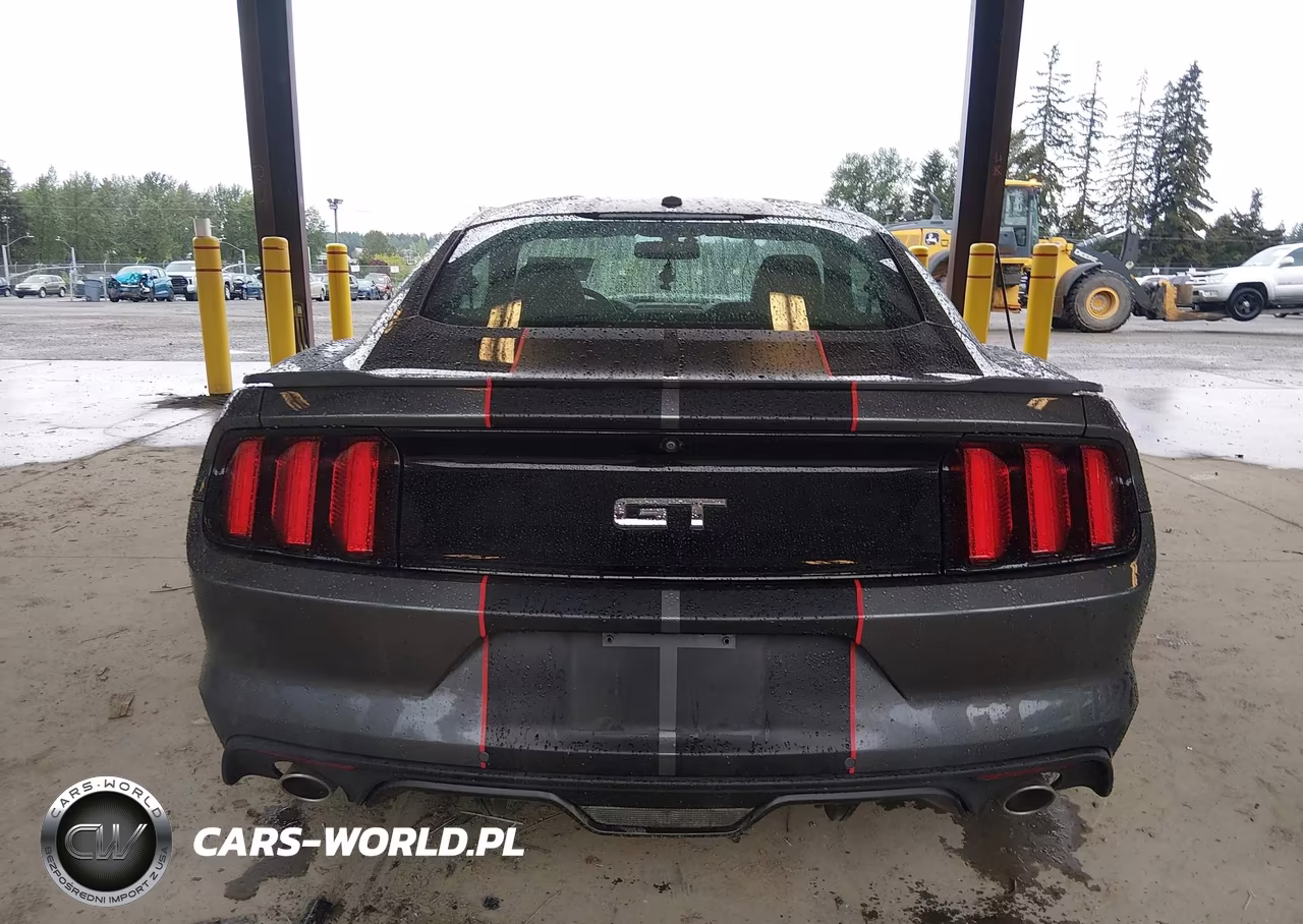 2016 Ford Mustang Gt Premium VIN:1FA6P8CF7G5323789 - 16