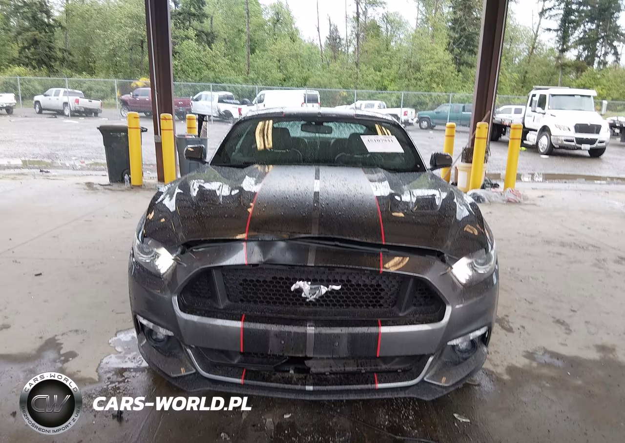 2016 Ford Mustang Gt Premium VIN:1FA6P8CF7G5323789 - 6