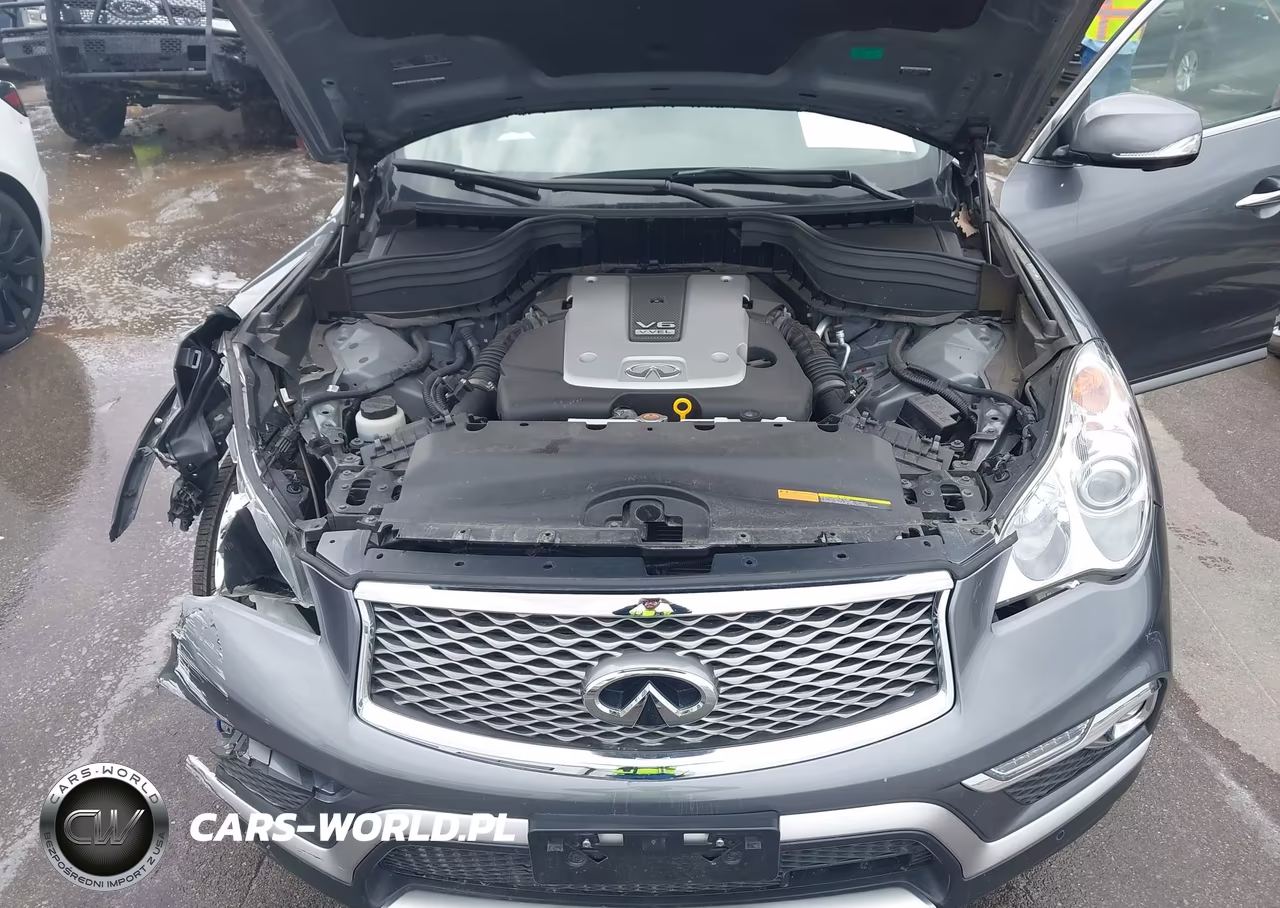 2017 Infiniti Qx50 VIN:JN1BJ0RR4HM405924 - 10