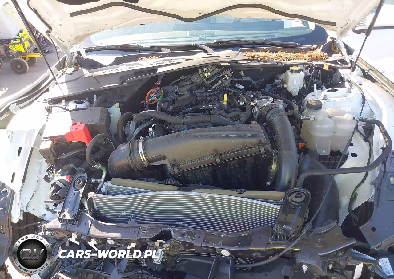 2024 Ford Mustang Ecoboost Premium Fastback VIN:1FA6P8TH5R5112742 - 10