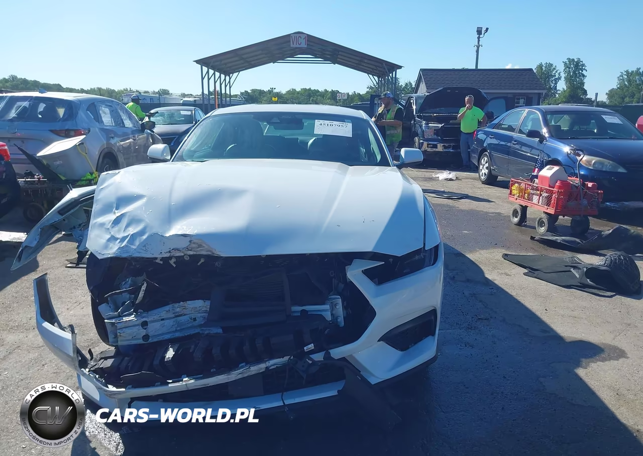 2024 Ford Mustang Ecoboost Premium Fastback VIN:1FA6P8TH5R5112742 - 12