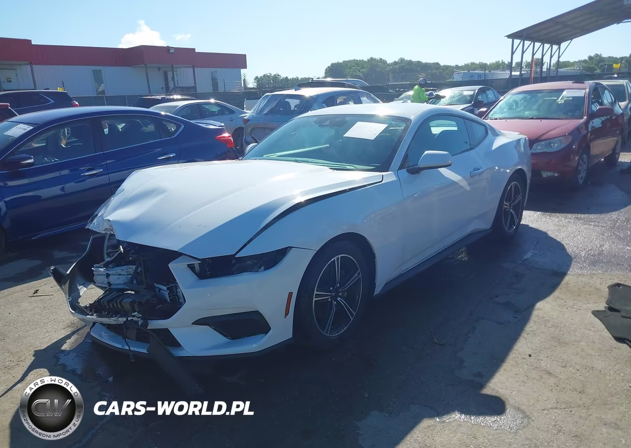 2024 Ford Mustang Ecoboost Premium Fastback VIN:1FA6P8TH5R5112742 - 2