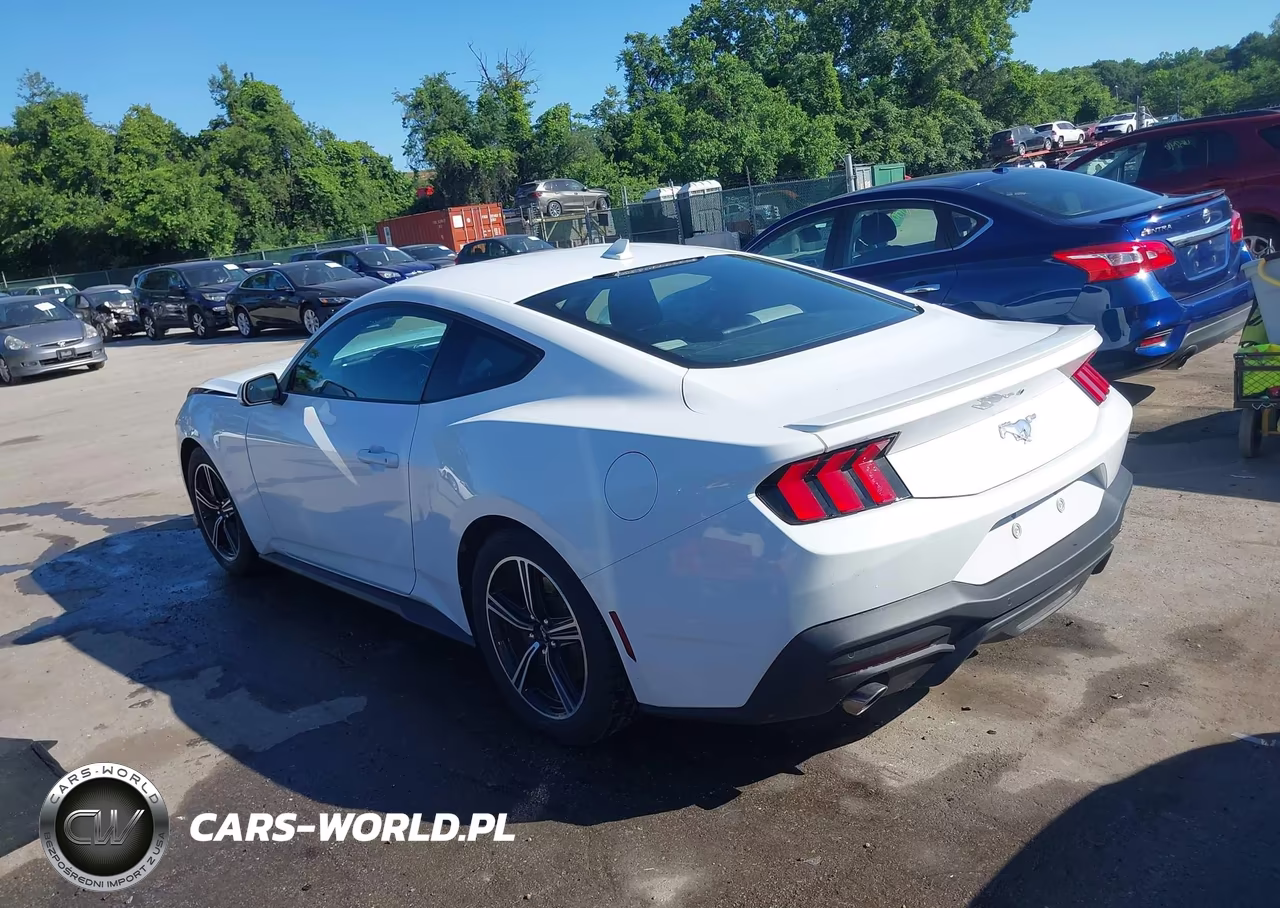 2024 Ford Mustang Ecoboost Premium Fastback VIN:1FA6P8TH5R5112742 - 3