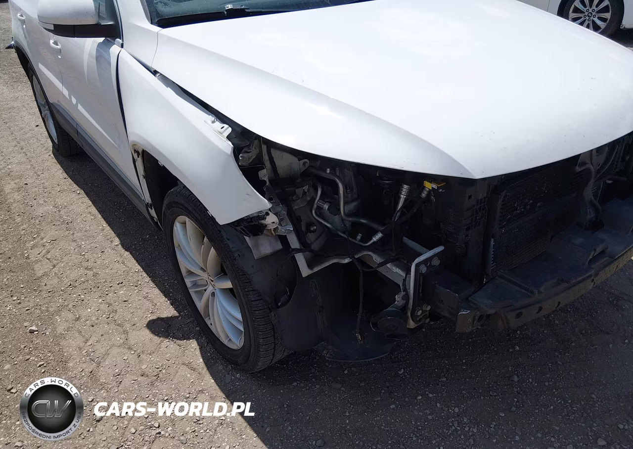 2012 Volkswagen Tiguan Se VIN:WVGBV7AX6CW552825 - 13