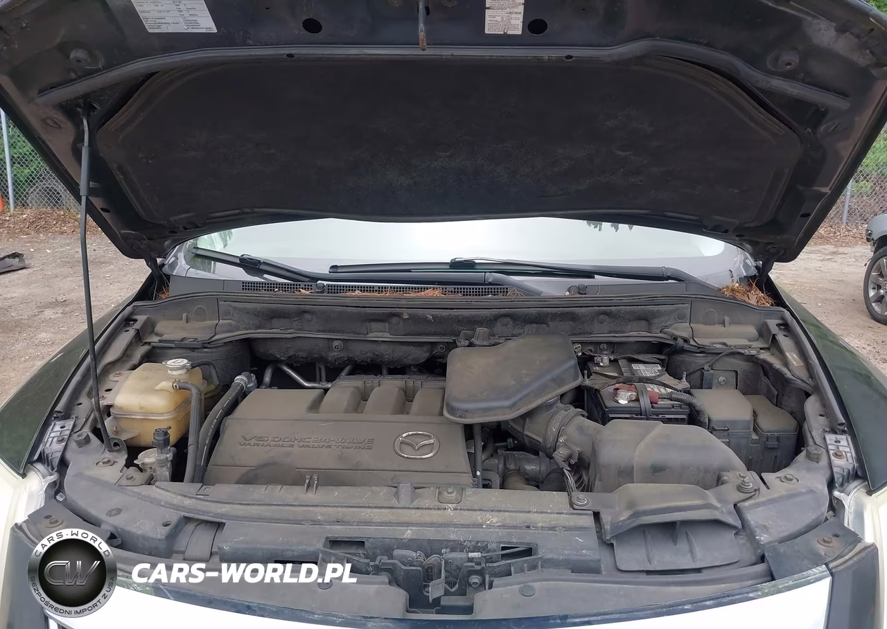 2010 Mazda Cx-9 Touring VIN:JM3TB3MV4A0200127 - 10