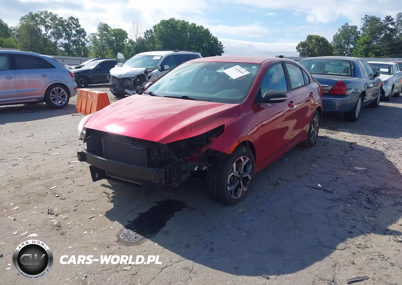 2019 Kia Forte Lxs VIN:3KPF24AD3KE027460 - 2