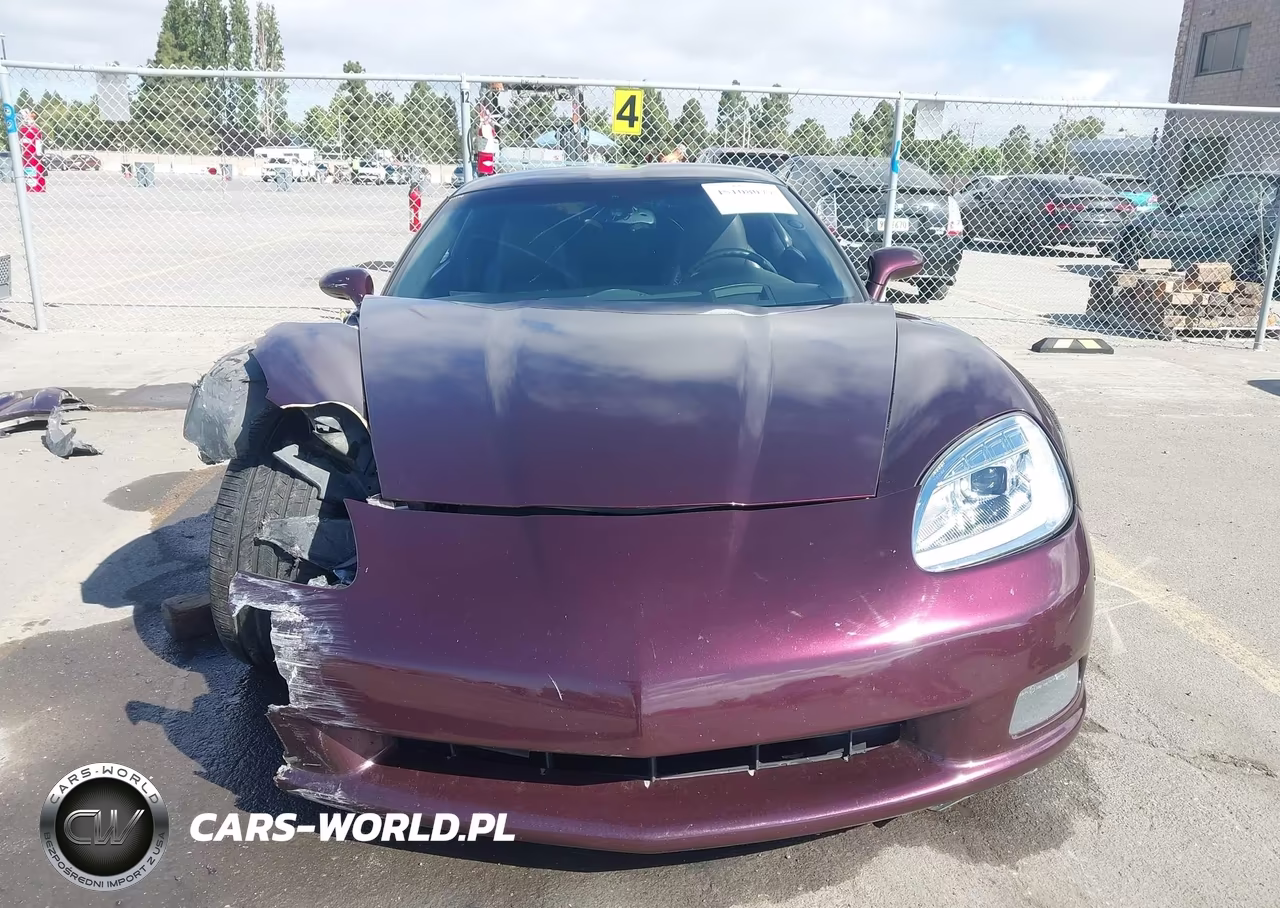 2005 Chevrolet Corvette VIN:1G1YY24U155132563 - 12