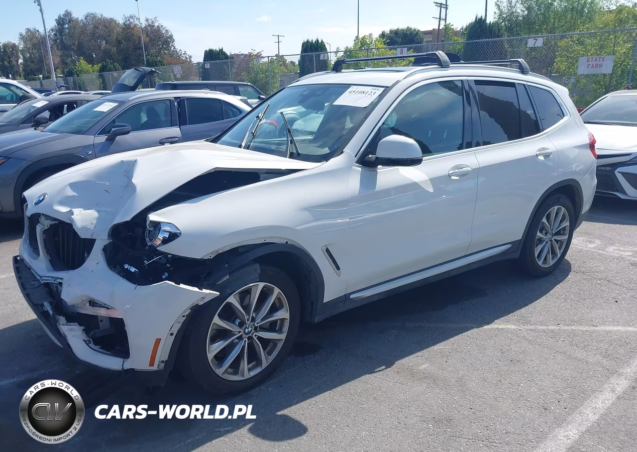 2019 BMW X3 Sdrive30I VIN:5UXTR7C51KLE88249 - 2