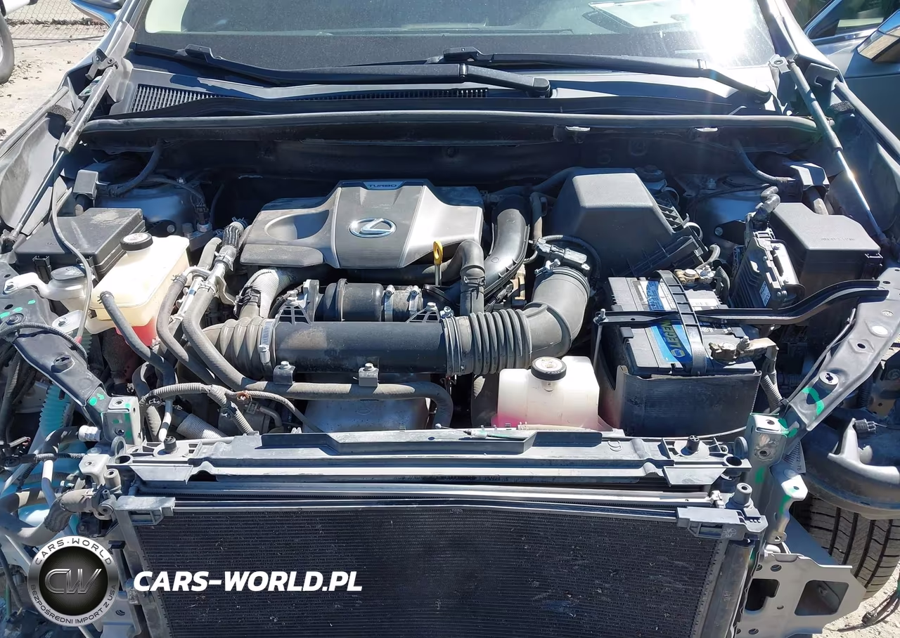 2019 Lexus Nx 300 VIN:JTJYARBZ3K2150169 - 10