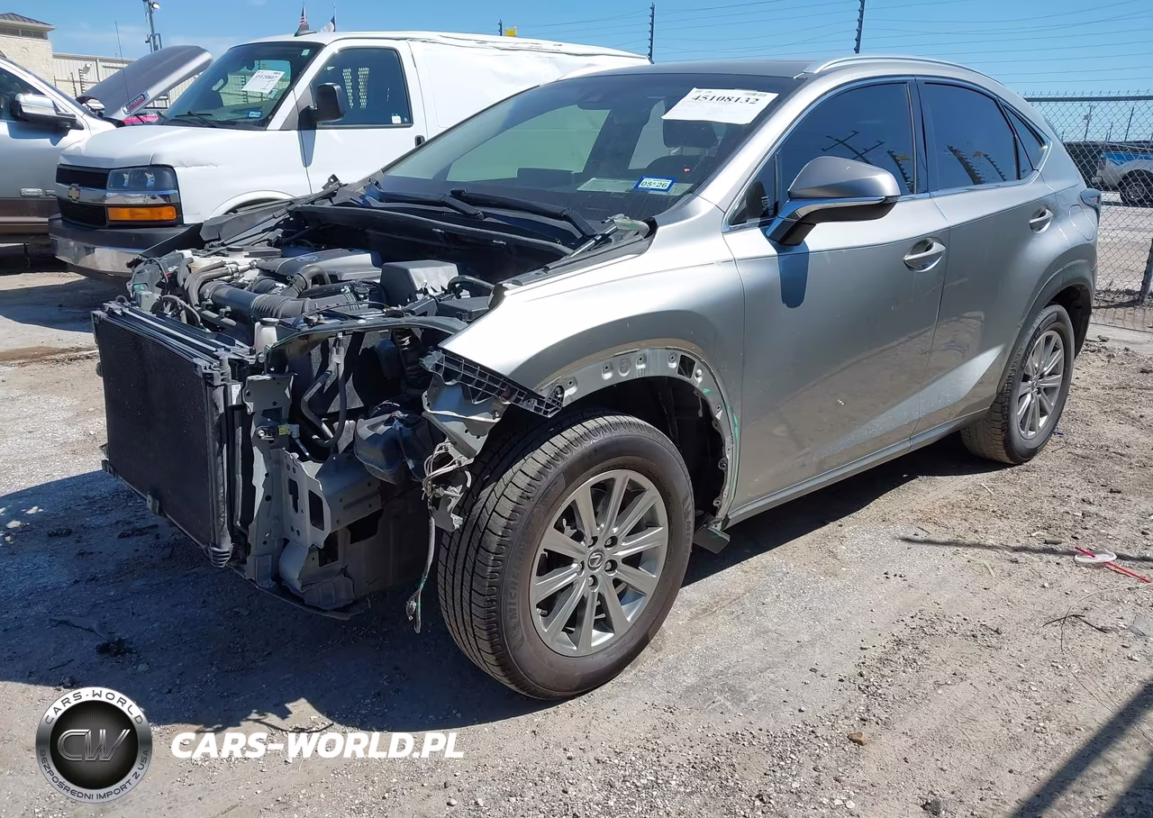 2019 Lexus Nx 300 VIN:JTJYARBZ3K2150169 - 2