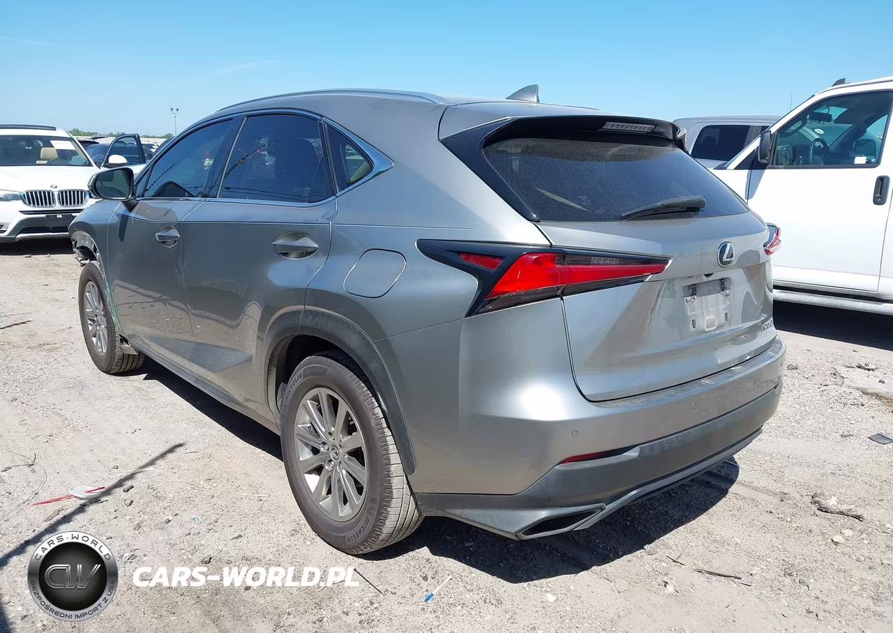 2019 Lexus Nx 300 VIN:JTJYARBZ3K2150169 - 3