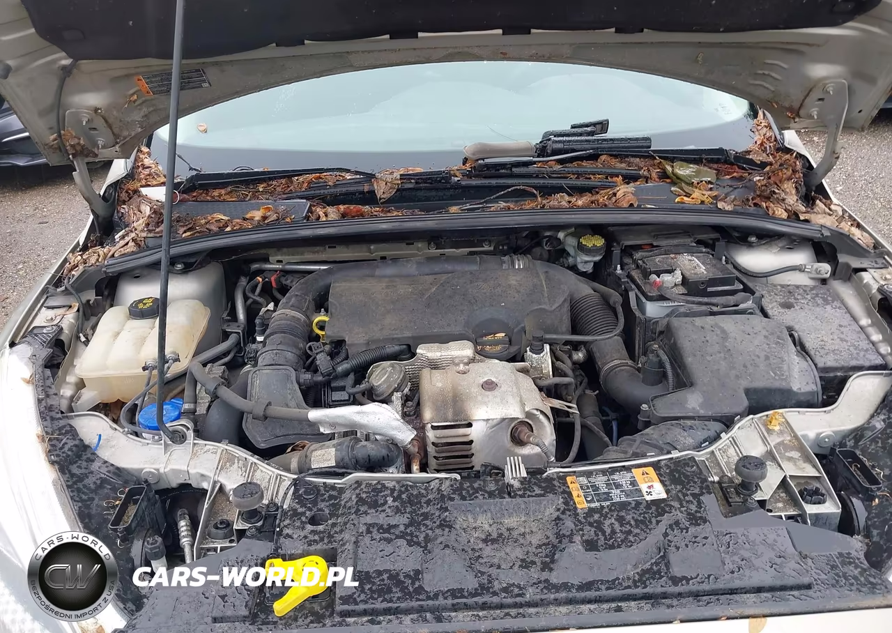 2015 Ford Focus Se VIN:1FADP3KE4FL293972 - 10