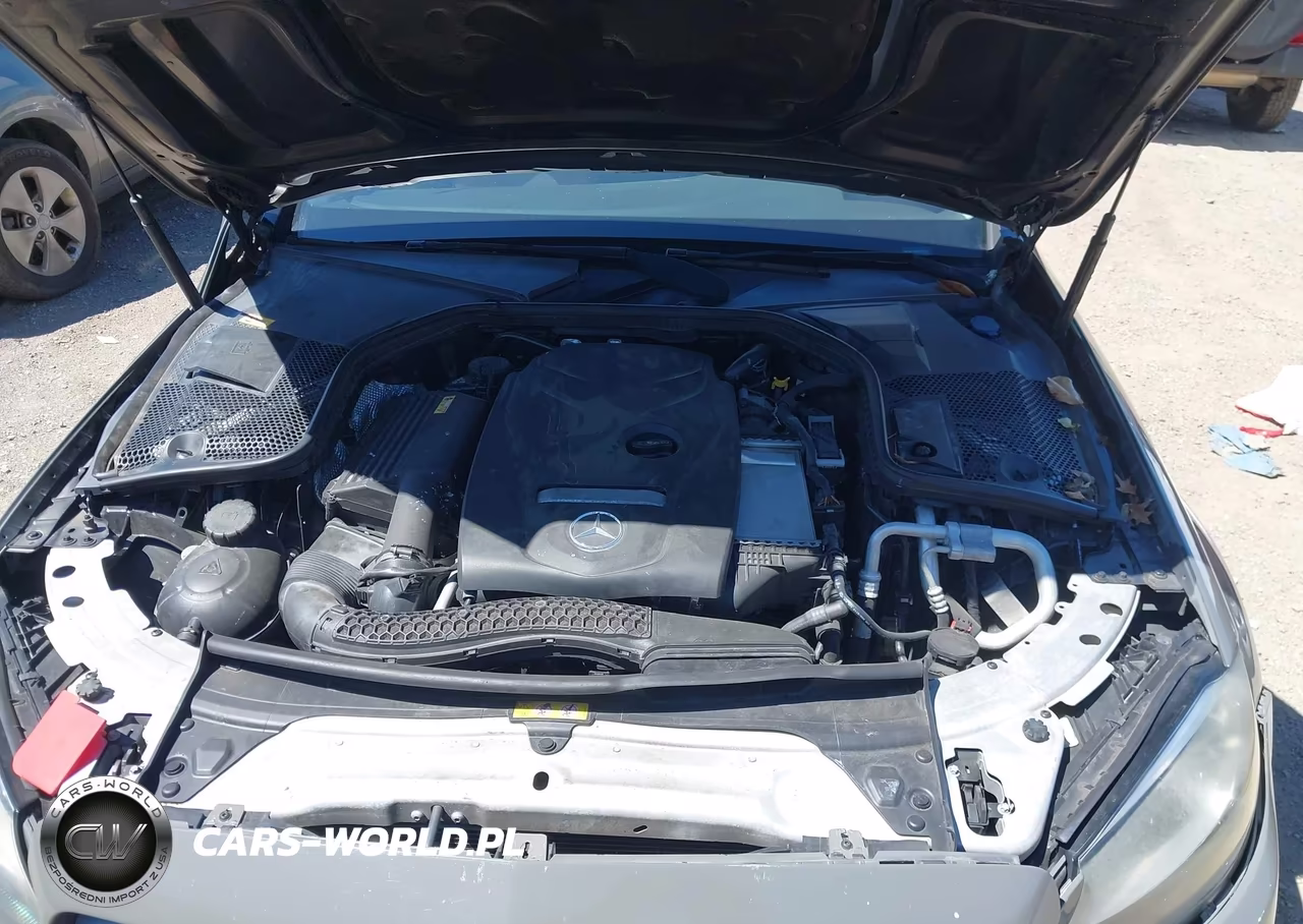 2016 Mercedes-Benz C 300 VIN:55SWF4JBXGU114467 - 10