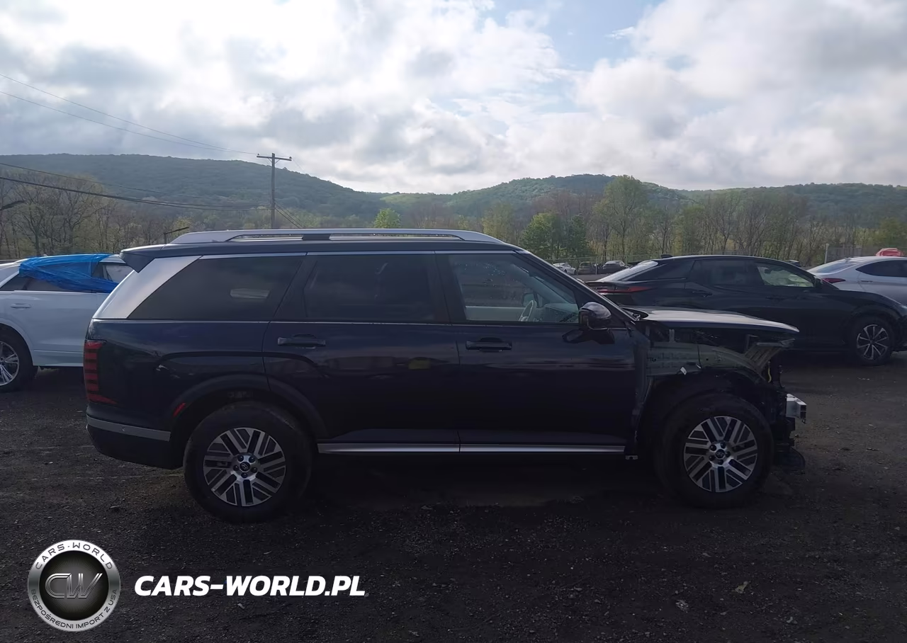 2026 Hyundai Palisade Hev Sel Premium 8P VIN:KM8RHESAXTU039626 - 13