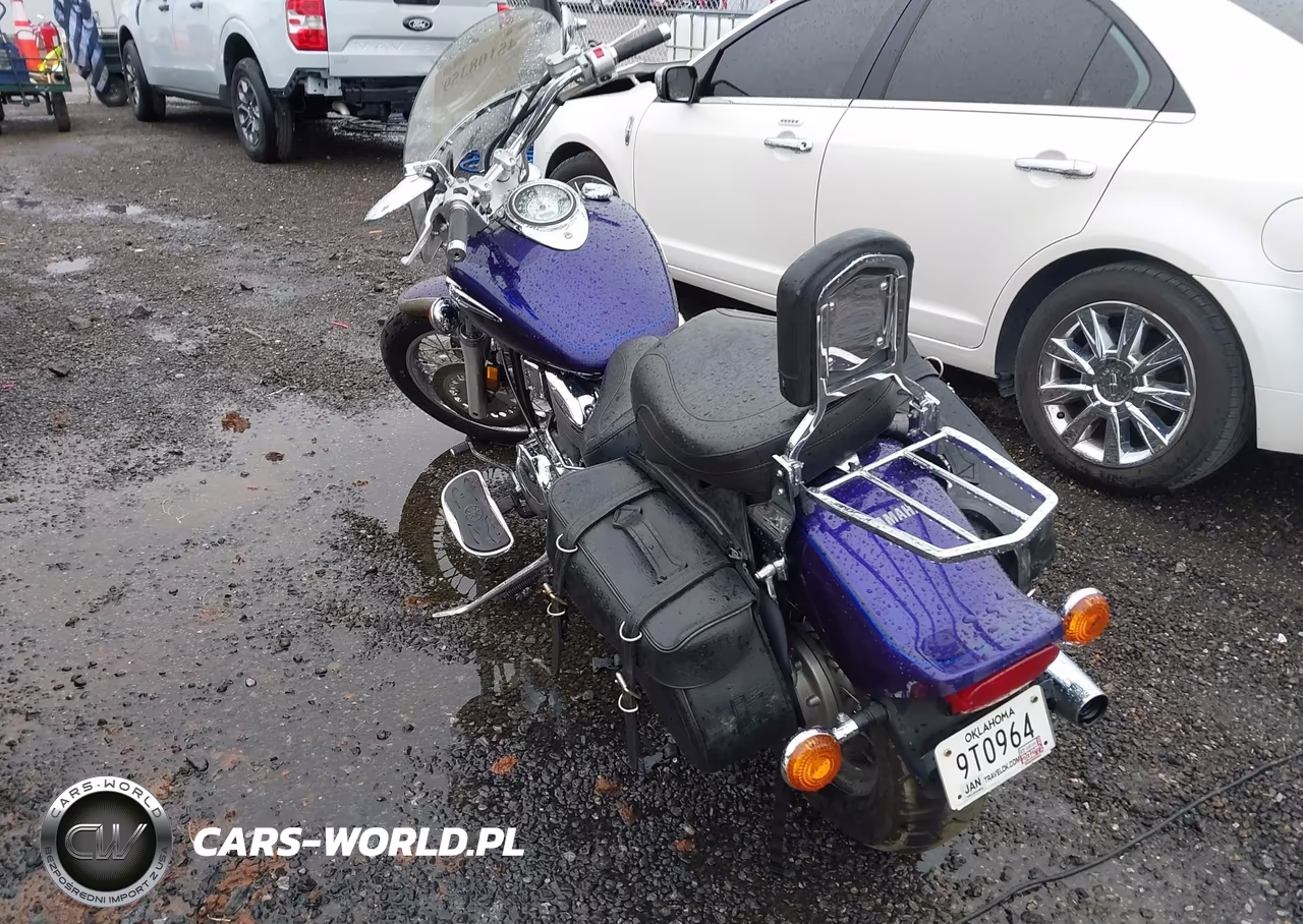 2004 Yamaha Xvs1100 A VIN:JYAVP11E74A049337 - 3