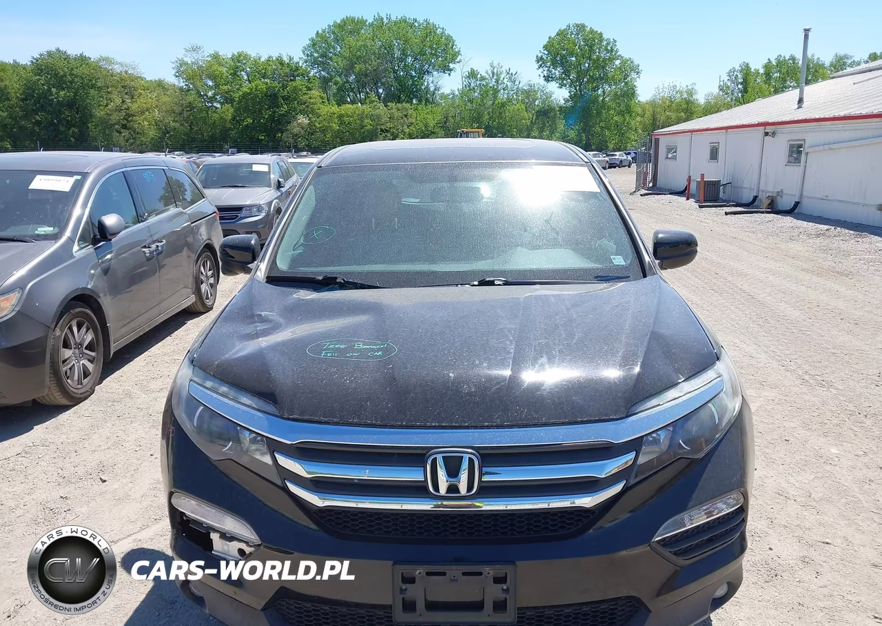 2018 Honda Pilot Ex-L VIN:5FNYF6H50JB025696 - 12