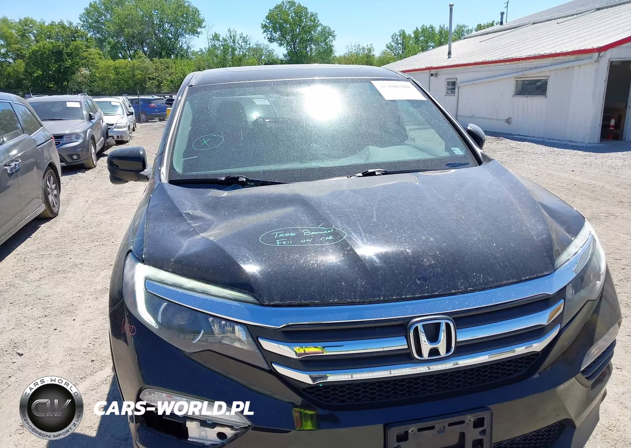 2018 Honda Pilot Ex-L VIN:5FNYF6H50JB025696 - 6