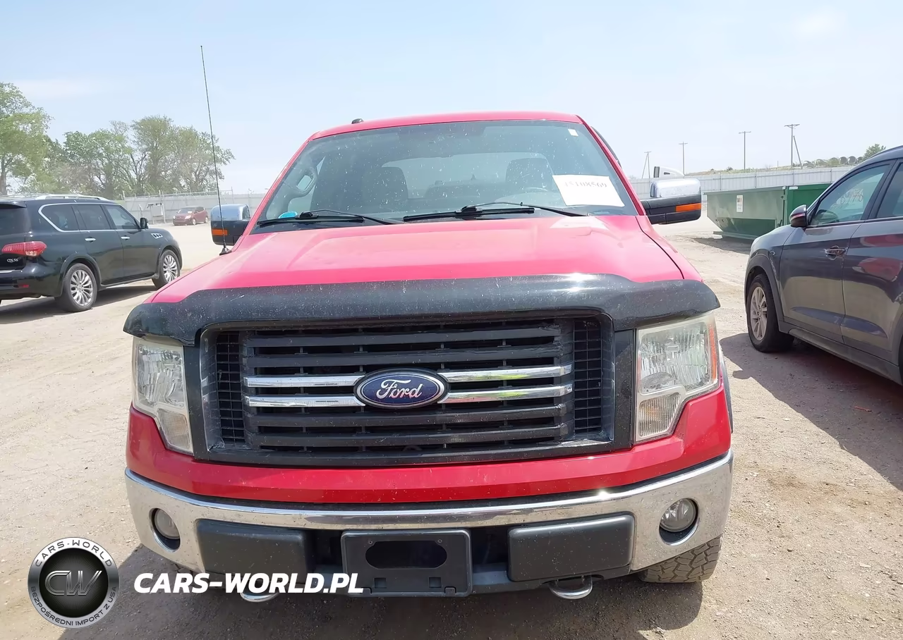 2010 Ford F-150 Fx4-Harley-Davidson-King Ranch-Lariat-Platinum-Xl-Xlt VIN:1FTFW1EV0AFC66877 - 12