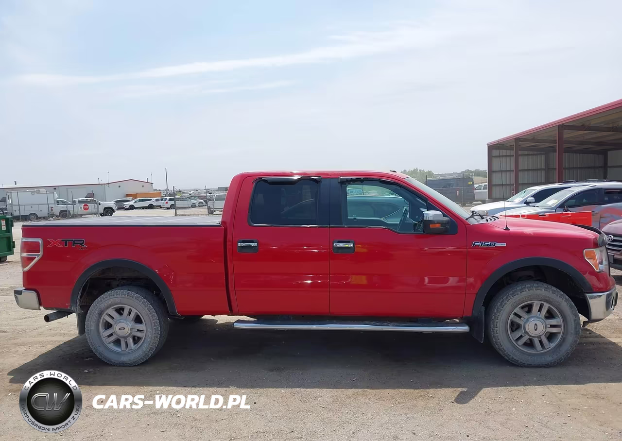 2010 Ford F-150 Fx4-Harley-Davidson-King Ranch-Lariat-Platinum-Xl-Xlt VIN:1FTFW1EV0AFC66877 - 13