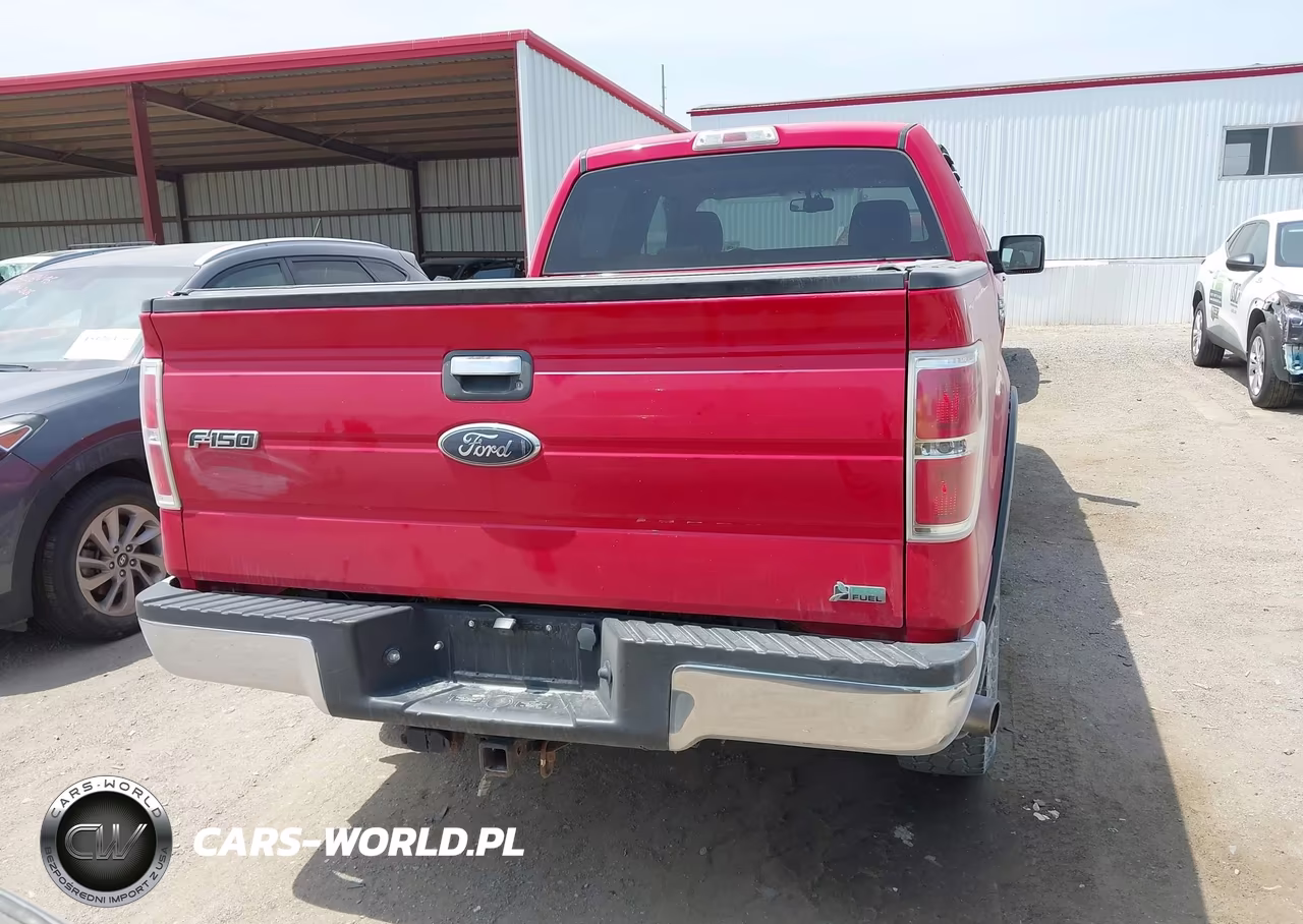 2010 Ford F-150 Fx4-Harley-Davidson-King Ranch-Lariat-Platinum-Xl-Xlt VIN:1FTFW1EV0AFC66877 - 16