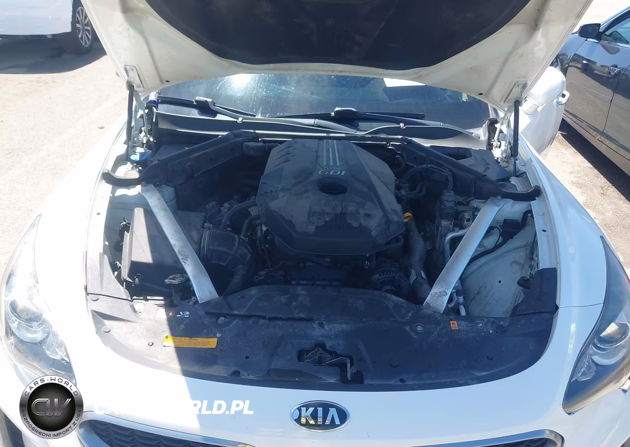 2018 Kia Stinger VIN:KNAE15LA9J6039380 - 10