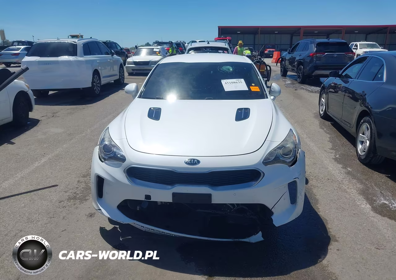2018 Kia Stinger VIN:KNAE15LA9J6039380 - 12