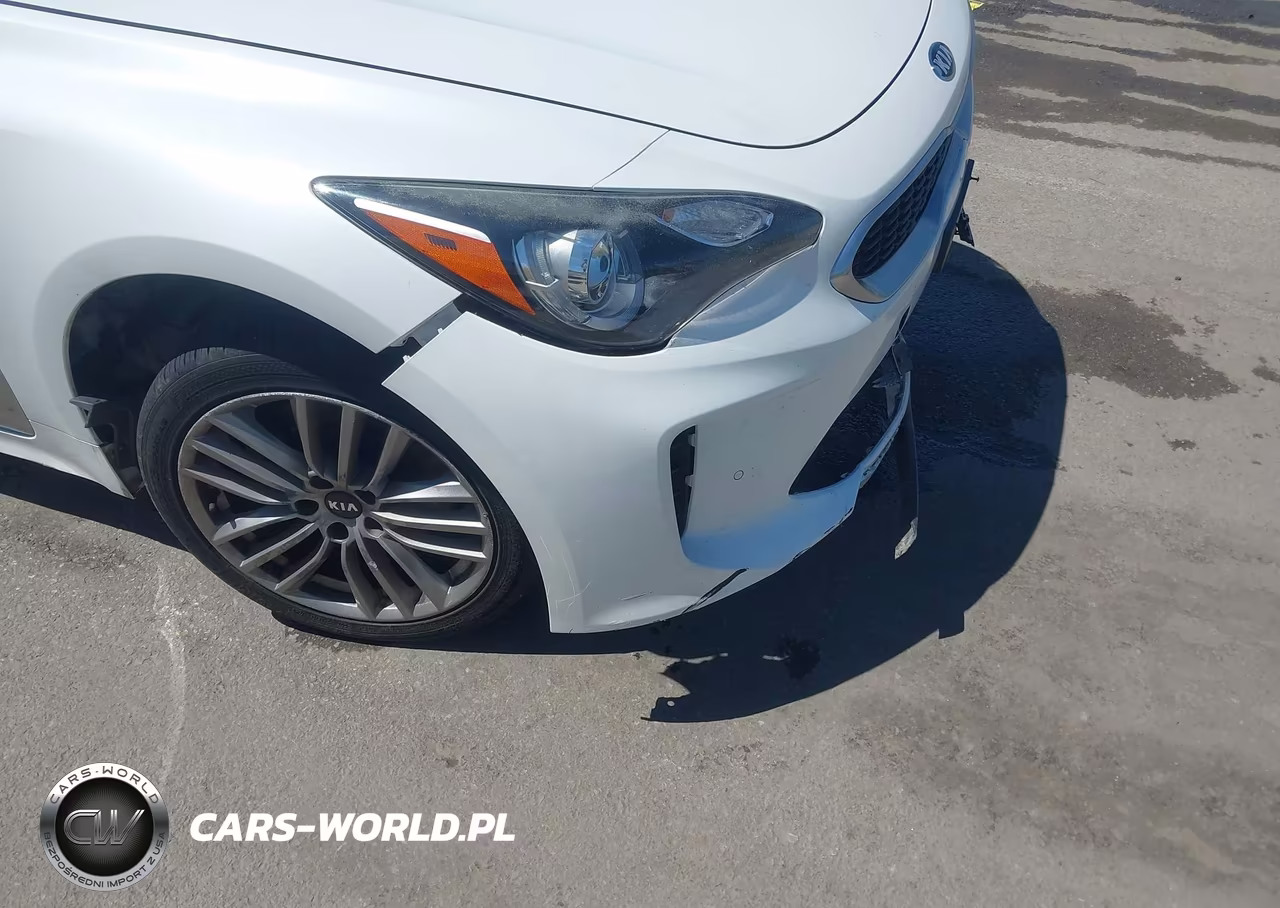 2018 Kia Stinger VIN:KNAE15LA9J6039380 - 19