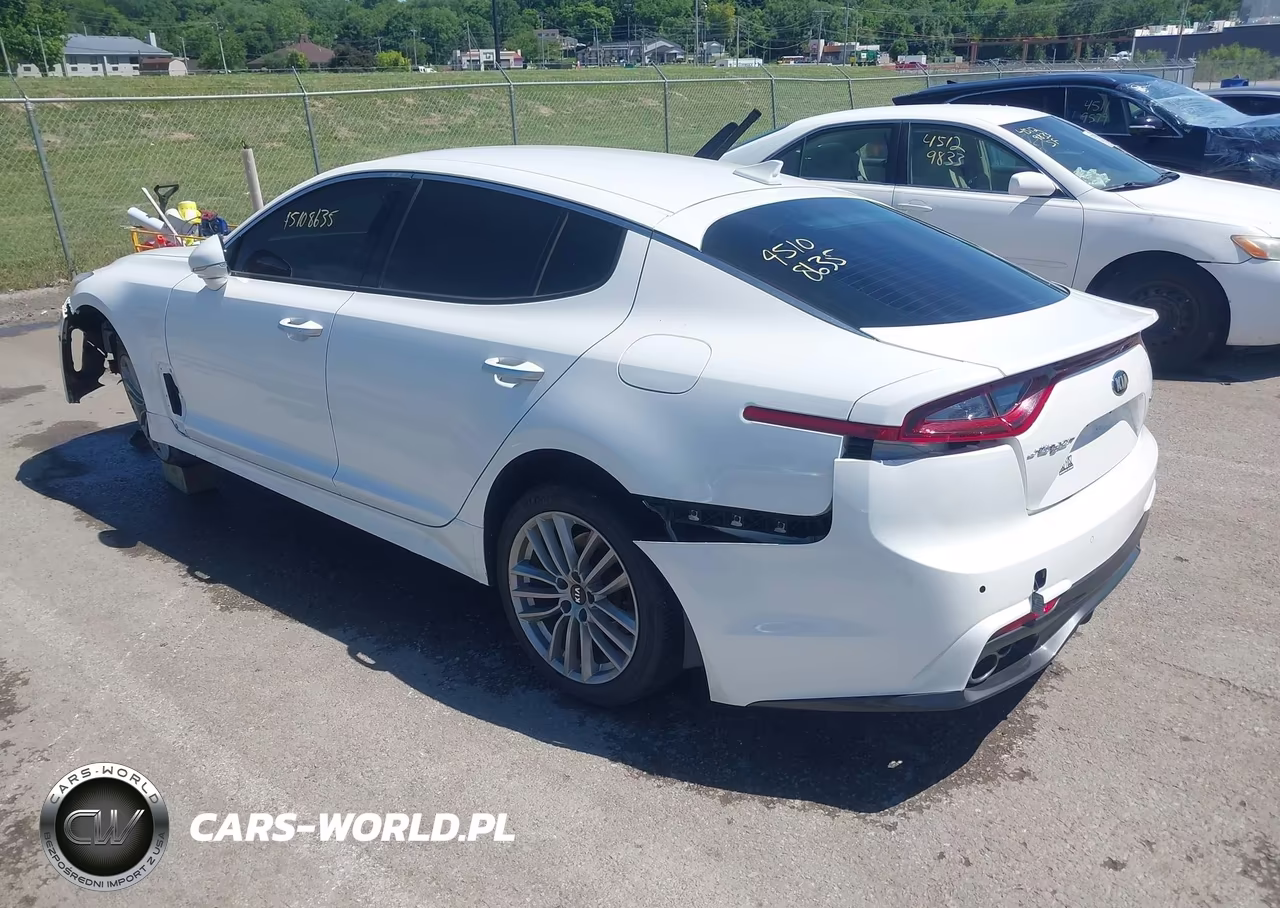 2018 Kia Stinger VIN:KNAE15LA9J6039380 - 3