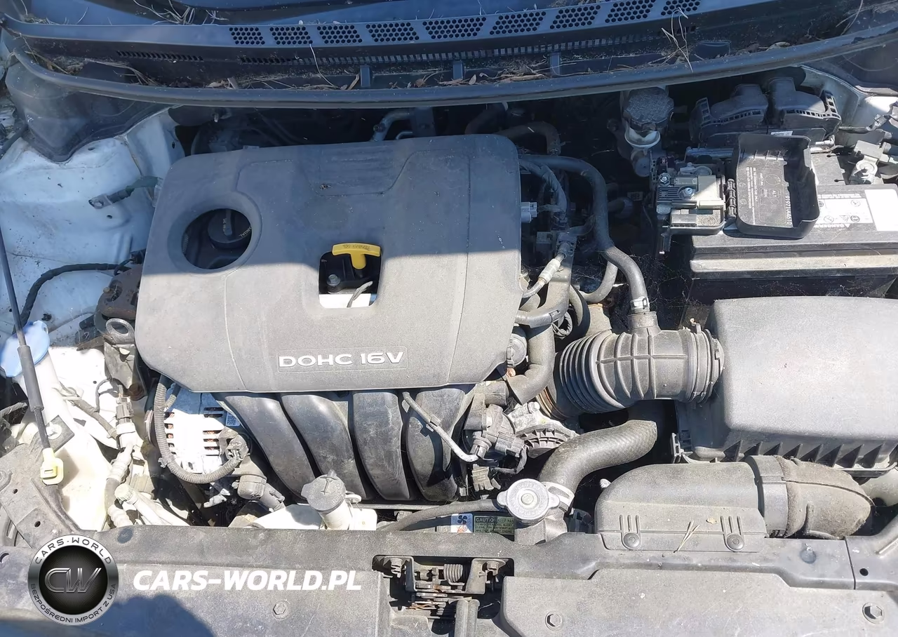 2017 Kia Forte Lx VIN:3KPFL4A78HE042651 - 10