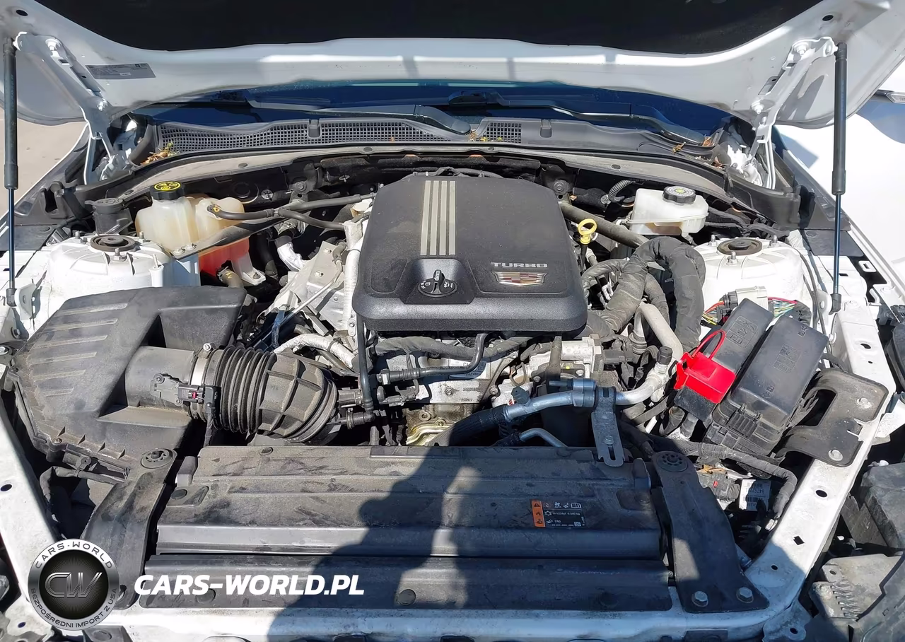 2020 Cadillac Ct4 Premium Luxury VIN:1G6DF5RKXL0134409 - 10