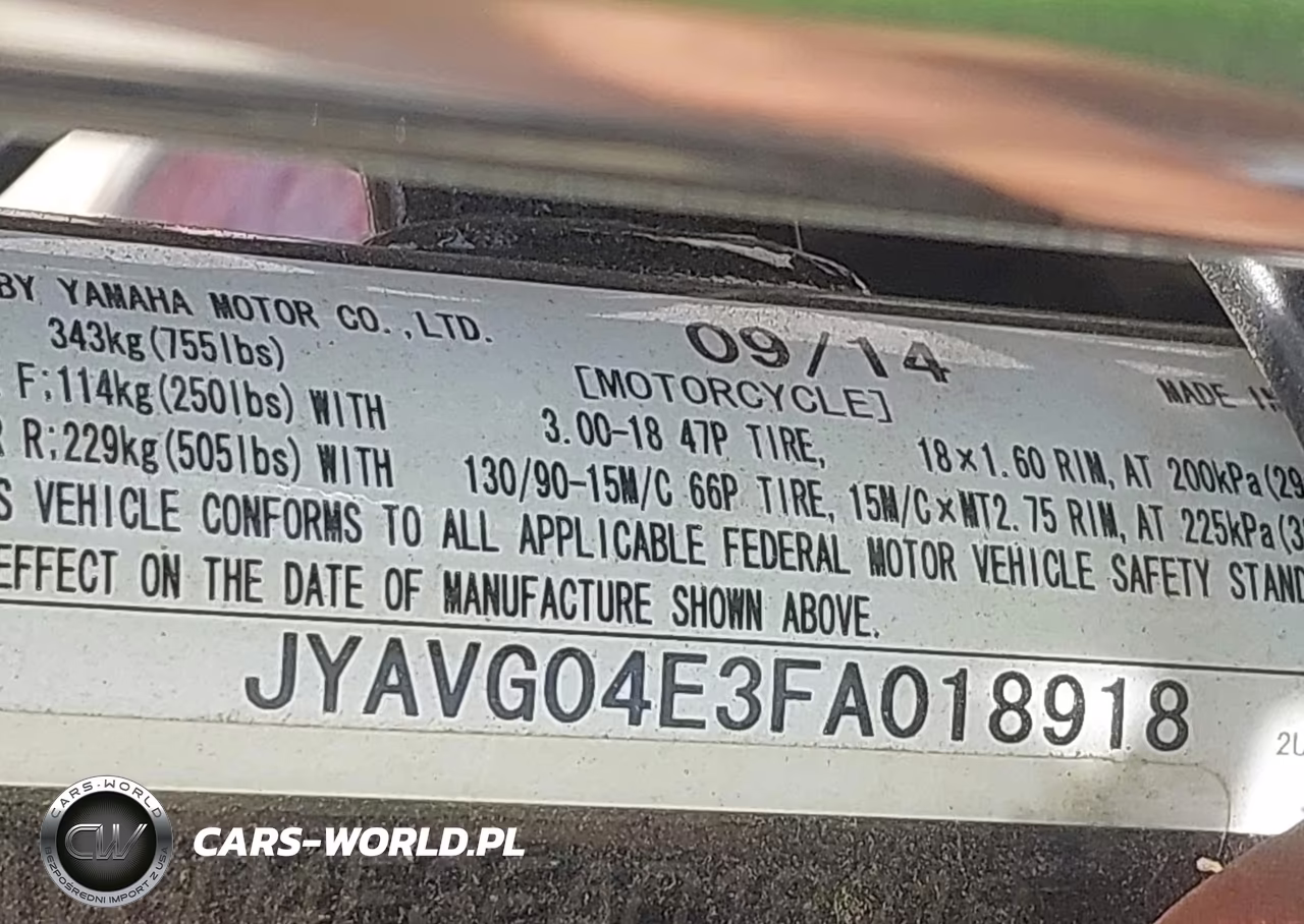 2015 Yamaha Xv250 VIN:JYAVG04E3FA018918 - 10
