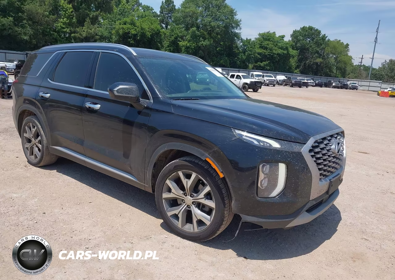 2022 Hyundai Palisade Sel – zdjęcie 1 z 16