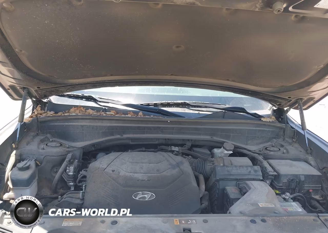 2022 Hyundai Palisade Sel VIN:KM8R34HE6NU367115 - 10