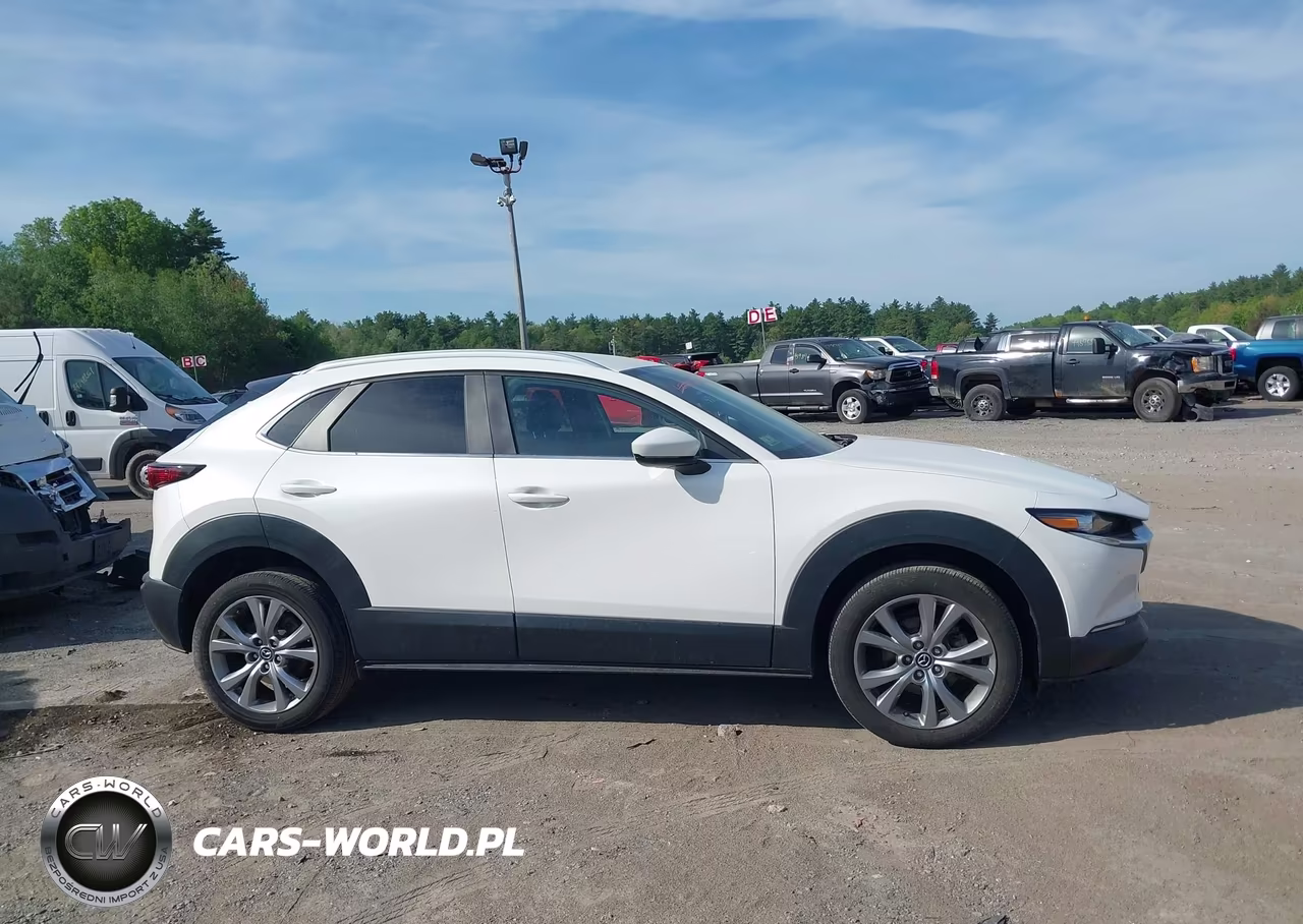 2023 Mazda Cx-30 2.5 S Select VIN:3MVDMBBM7PM544731 - 13