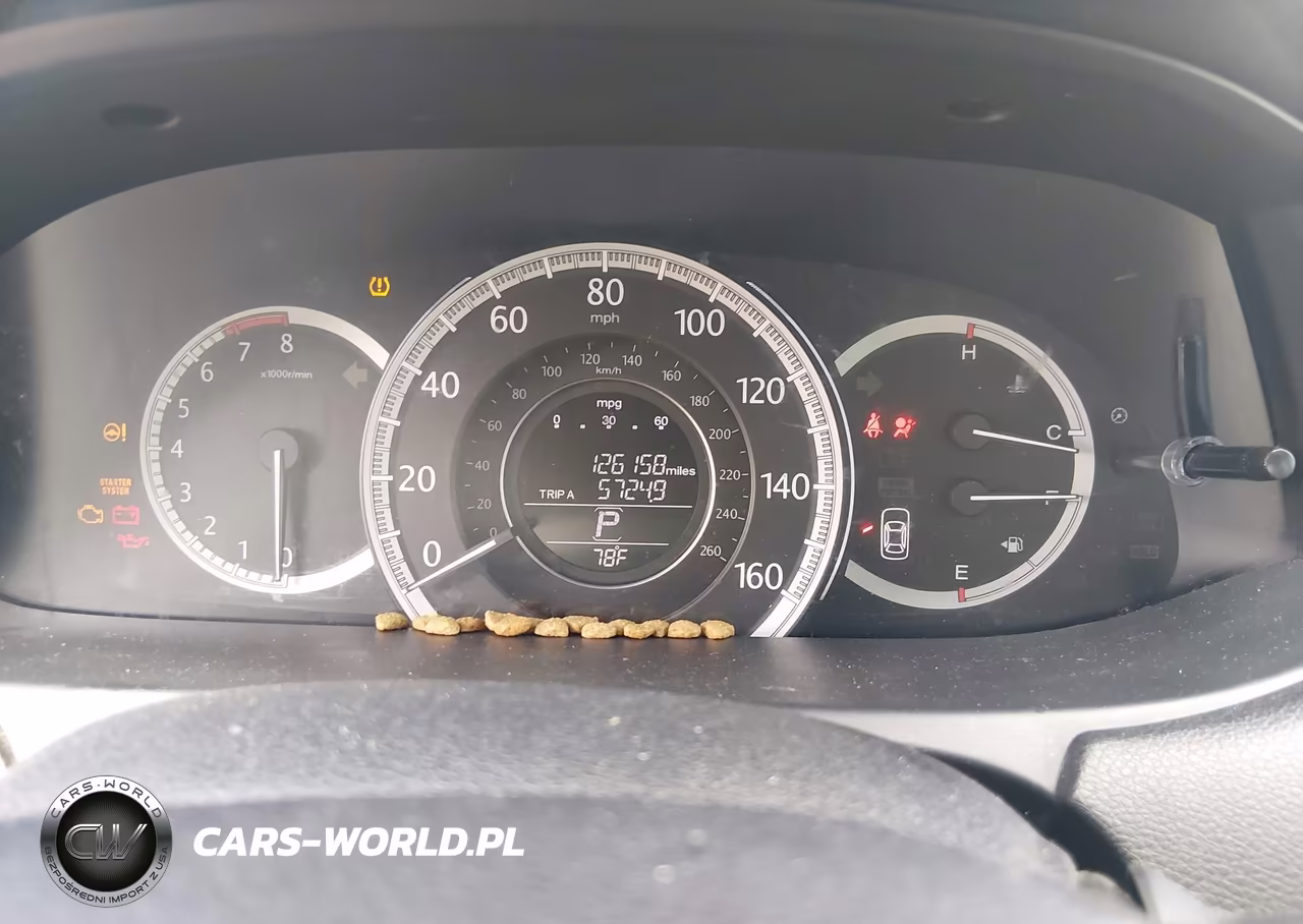 2013 Honda Accord Ex-L VIN:1HGCR2F85DA201938 - 7